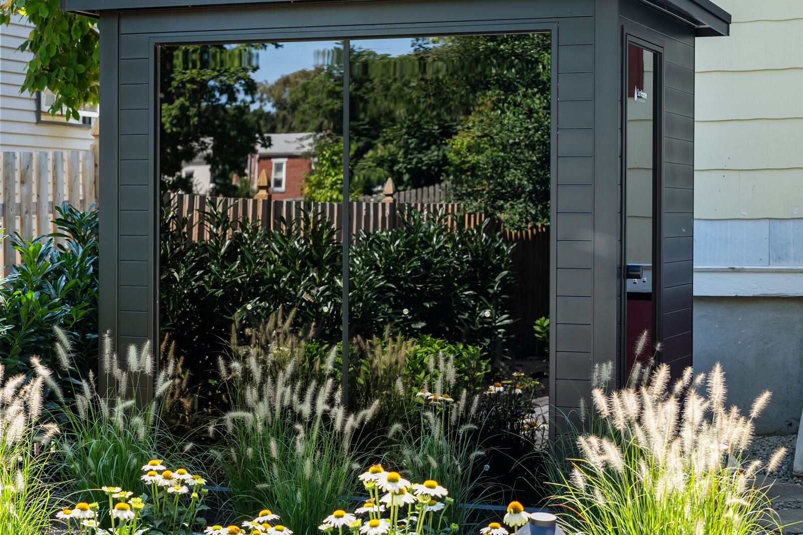 Coneflowers and ornamental grasses planted in front of a black garden structure