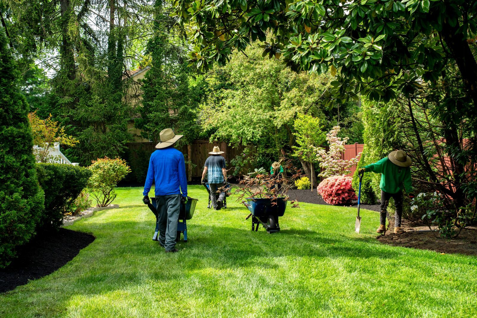 Crew spreading fresh mulch from wheelbarrows across planting beds